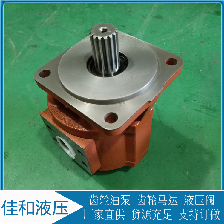 CMG2080 齿轮马达供应 CMZ2080压路机马达 佳和液压