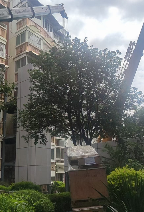 龙泉吊车出租_8-150吨吊车租赁电话日租报价