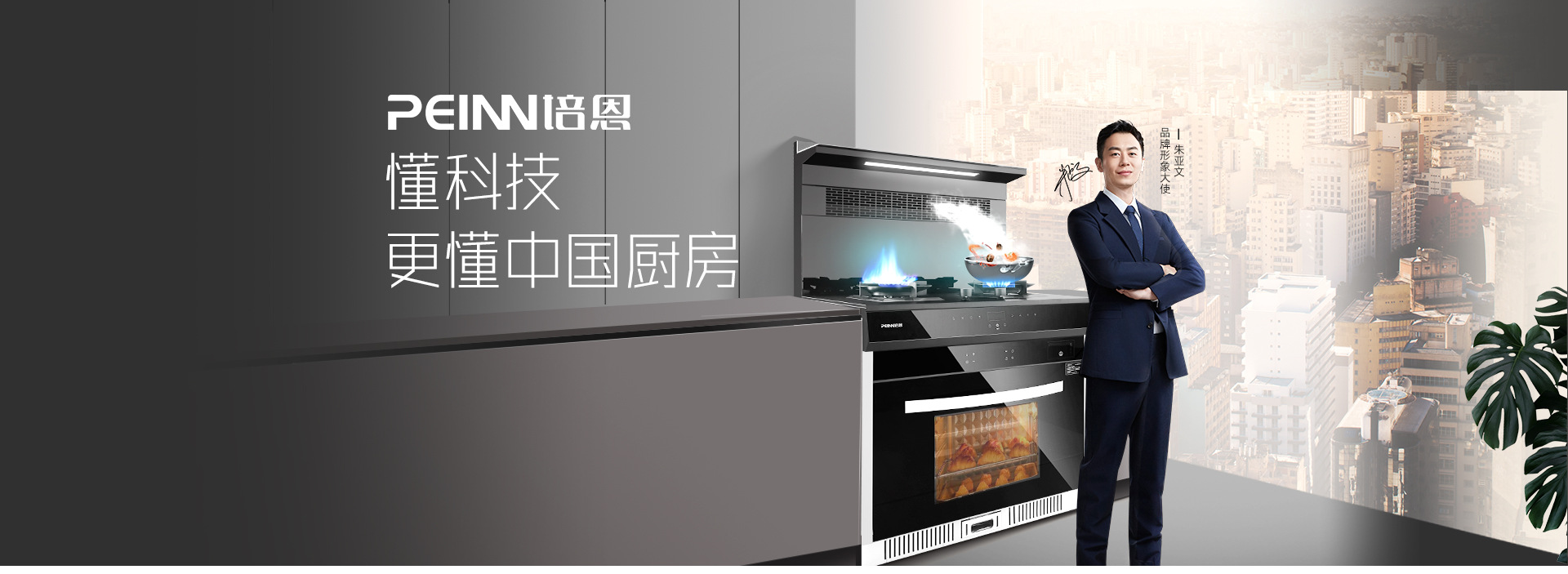 合肥培恩电器有限公司 主营产品