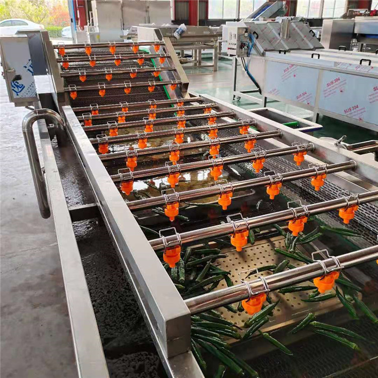  厂家批发蔬菜清洗设备 梅菜清洗机 辣菜叶去泥清洗生产线