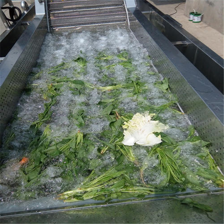 不锈钢喷淋式清洗机厂家出售 花生果喷淋清洗机 净菜加工流水线