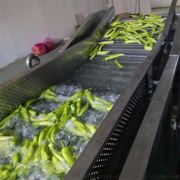 果蔬气泡清洗机价格 去残留果蔬清洗设备 净菜加工流水线
