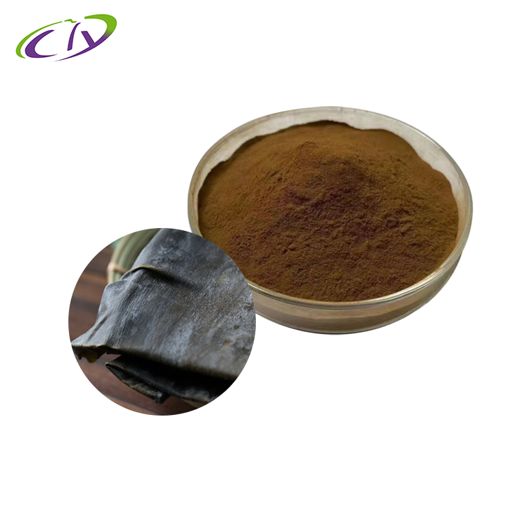 【慈缘生物】【SC厂家】昆布提取物10:1  昆布粉