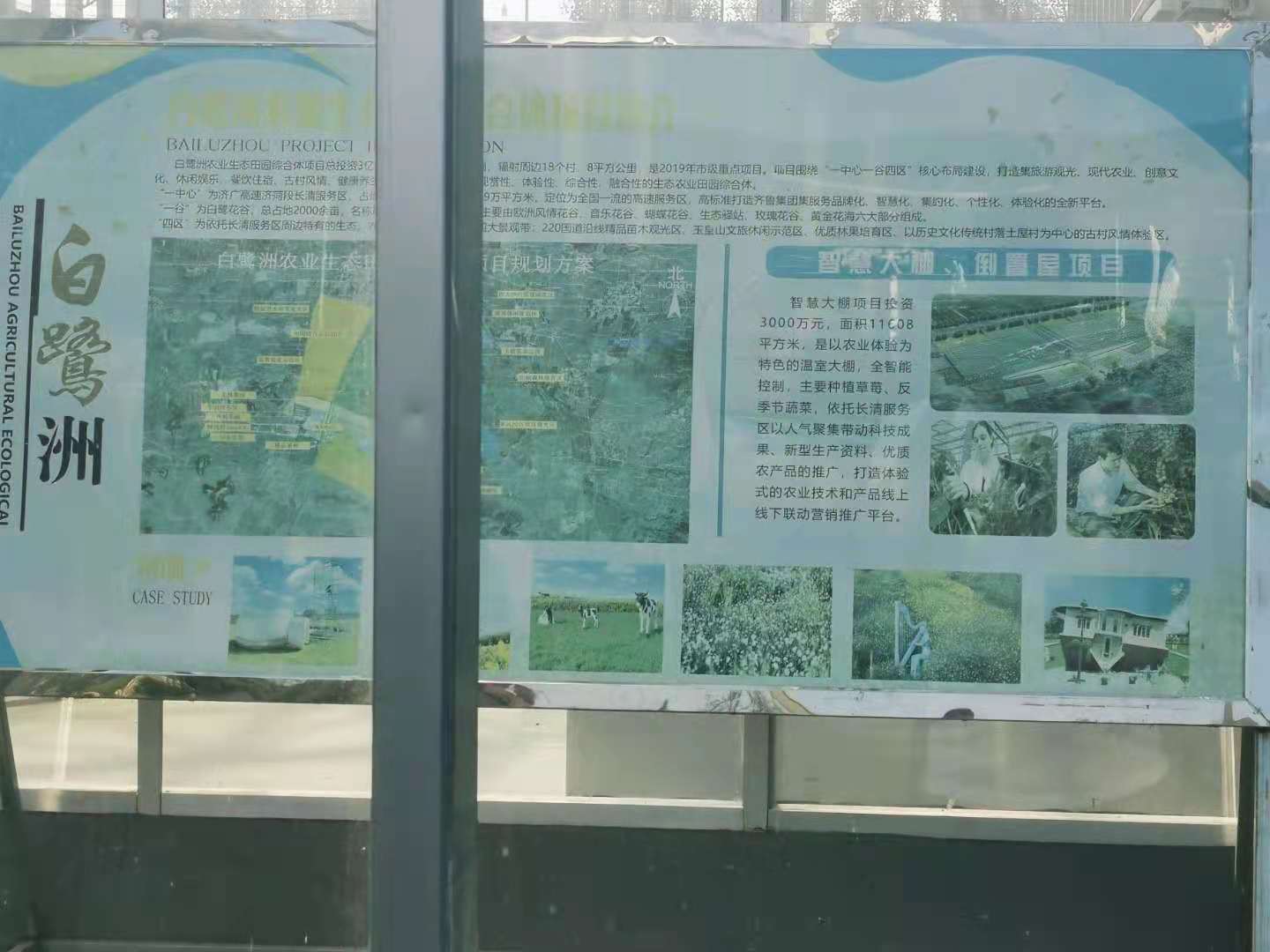 玻璃温室厂家 【中弘温室】出售玻璃温室大棚 欢迎咨询