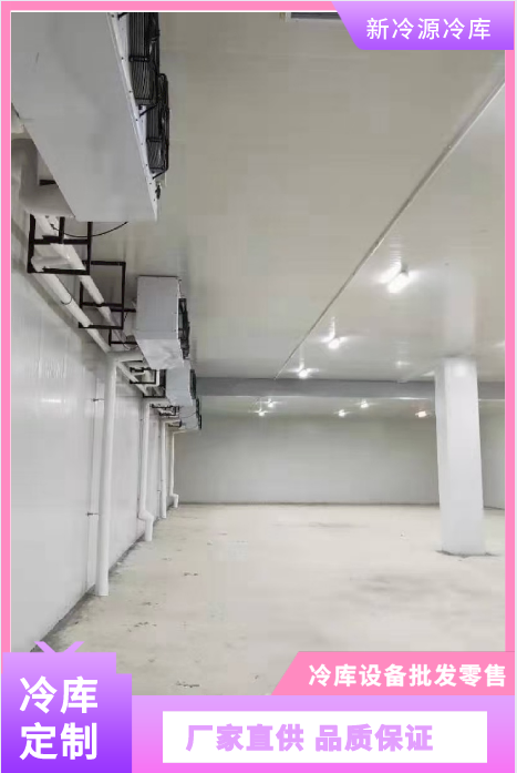 咸阳冷库设备送货上门  食品冷库  冷库电动门定制  新冷源冷库厂家  现场安装