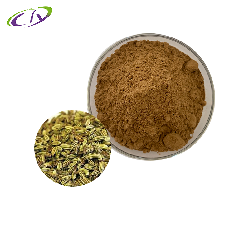 慈缘生物 SC厂家 小茴香提取物10:1  小茴香粉 片剂胶囊原料