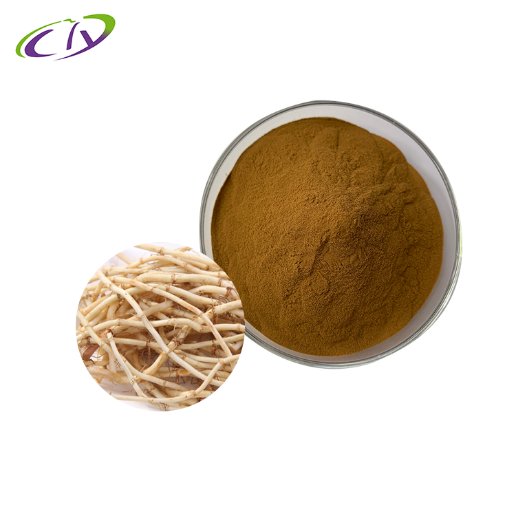 慈缘生物 SC厂家 白茅根提取物10:1  白茅根粉 片剂胶囊原料