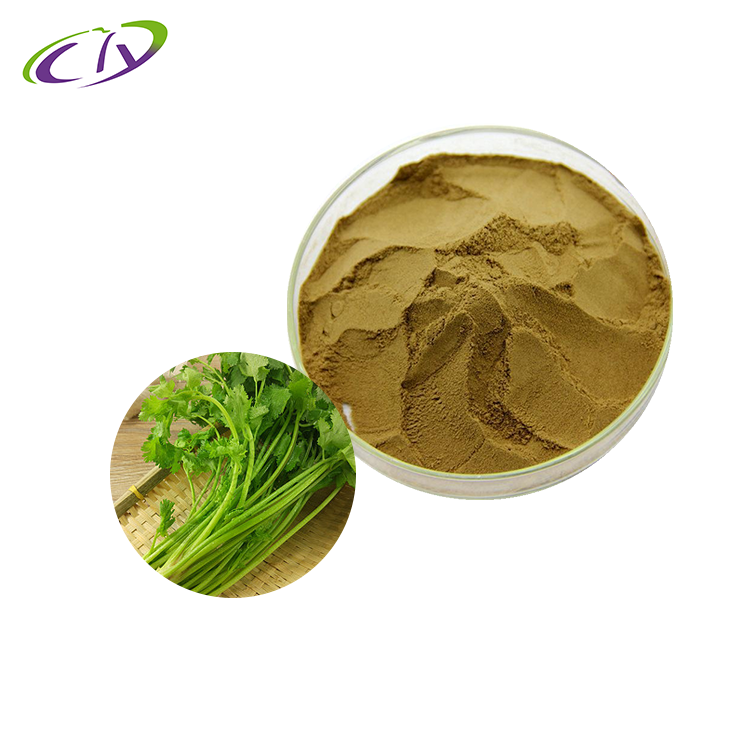慈缘生物【SC厂家】芫荽提取物10:1  芫荽粉 香菜提取物 片剂胶囊原料