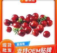 冷冻蔓越莓干果蜜饯 蛋糕烘培装饰果干速冻<em>食品</em>蔓越莓干