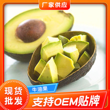 冷冻牛油果 蛋糕烘焙装饰牛油果速冻水果 冰冻水果批发定制