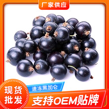 冷冻黑加仑 冰冻商用水果黑醋栗浆果饮品 果酱糕点甜品装饰