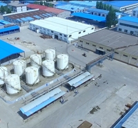 沧州市孟村县墙固配方找山东赵大升