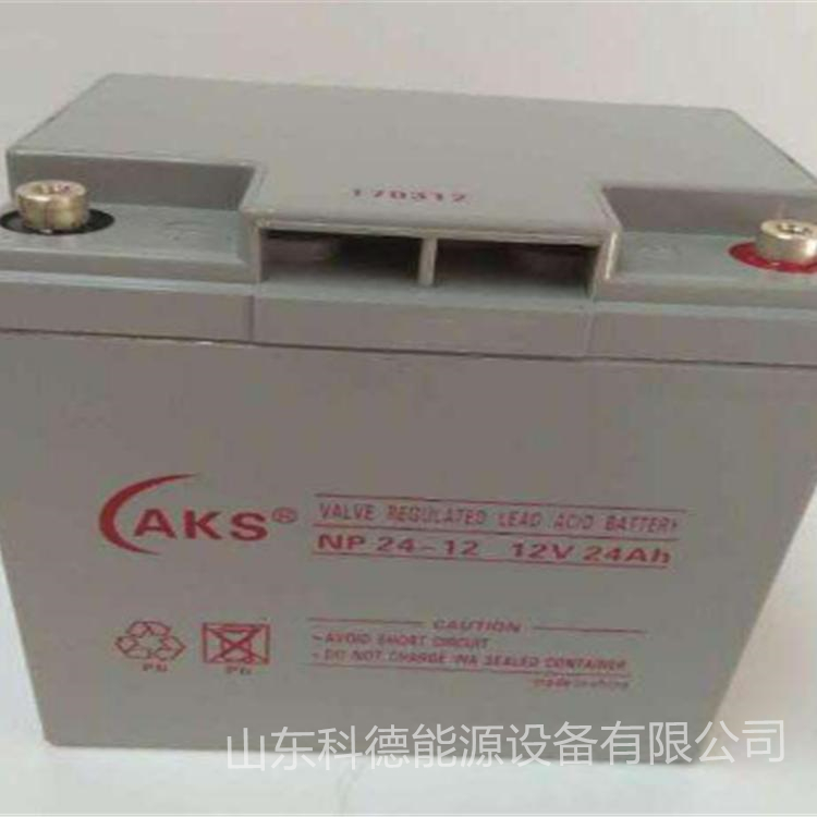 AKS奥克松蓄电池NP12-24/12V24AH直流屏免维护密封式铅酸电源