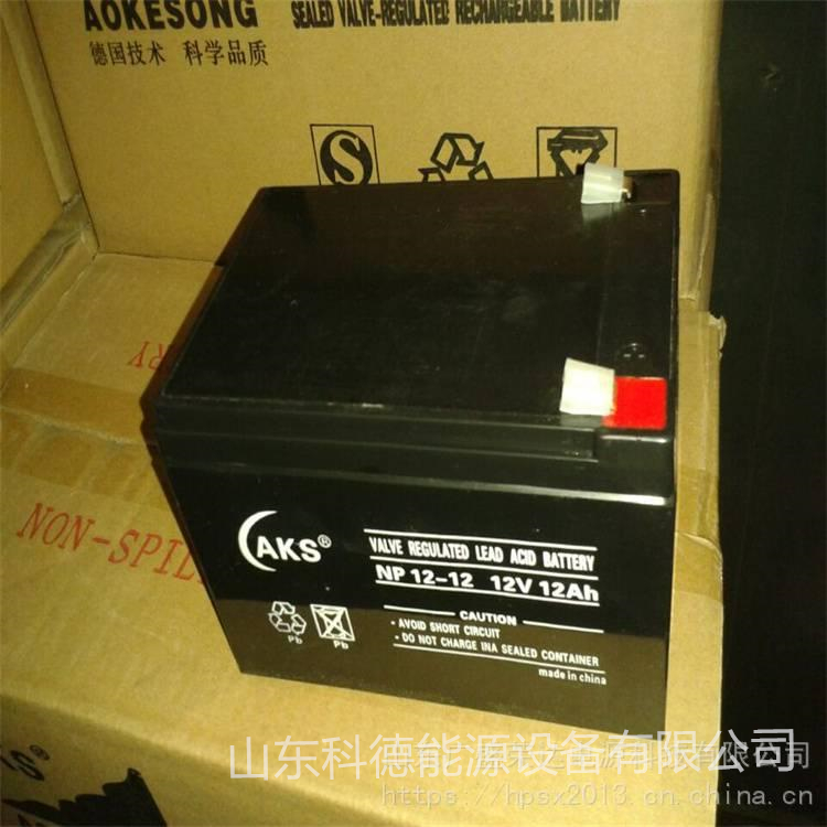德国奥克松(AKS)NP12-12/12V12AH 免维护铅酸蓄电池
