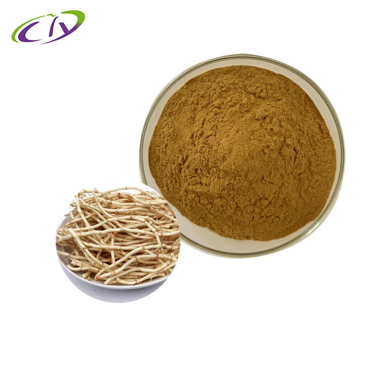慈缘生物【SC厂家】鱼腥草提取物10:1  鱼腥草粉 折耳根提取物