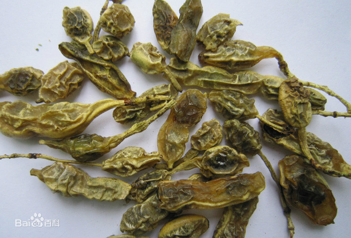 染料木素98%槐角提取物