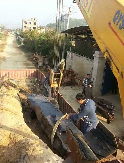 长沙市8-500吨吊车出租 长沙市本地<em>机械设备</em>吊装业务承接