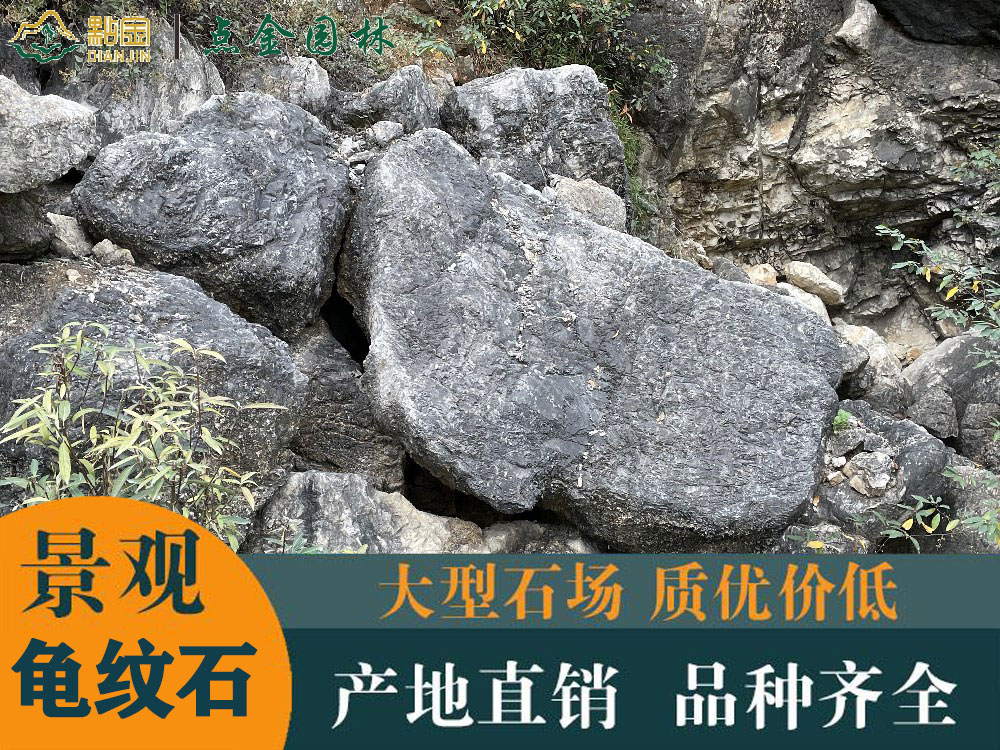 大型景观龟纹石 龟纹石假山 龟纹石石料批发 庭院龟纹石 点金园林直销