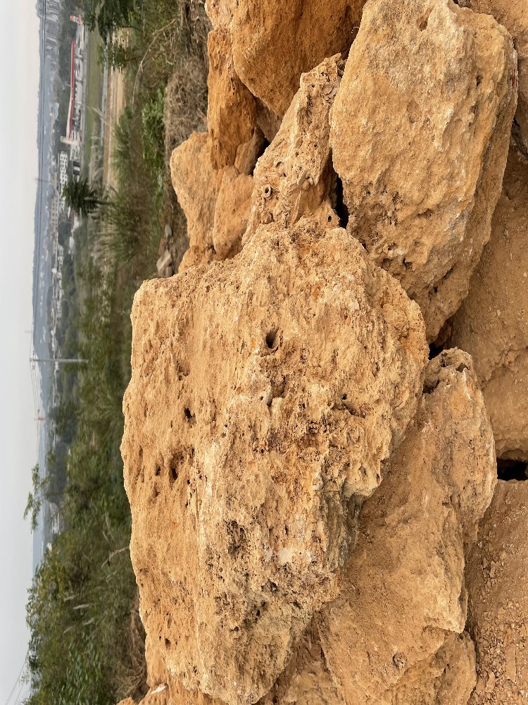 吸水石盆景 吸水石直销 点金景观石 吸水石假山