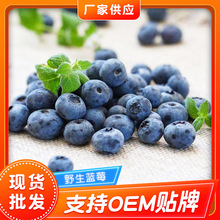 冷冻水果 冷冻蓝莓 速冻蓝莓果蔬冷冻蓝莓 烘焙装饰冷冻水果蓝莓