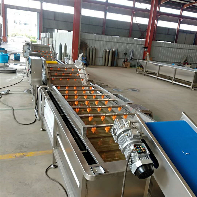 河北栗子清洗机 鲜板栗去杂质清洗设备 干果清洗沥水加工生产线