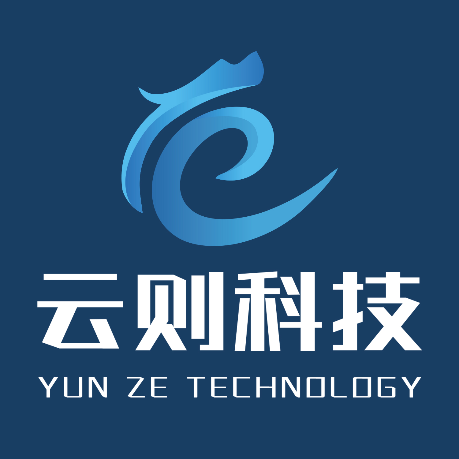 山东云则信息技术有限公司 标志