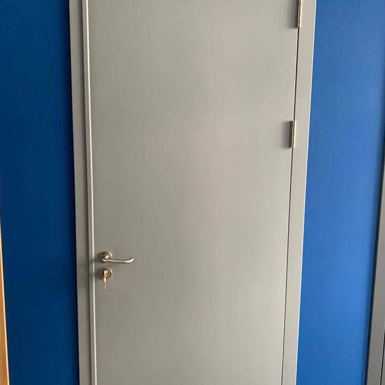 甲级防火门 管井门 储藏间简易门 船用工厂用防火门 服务贴心