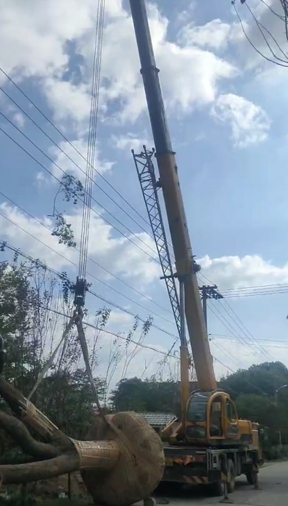 凤泉区16-500吨吊车出租 凤泉区起重机械吊车租赁业务 价格实惠