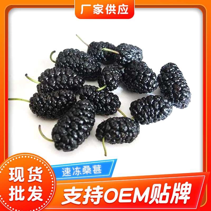 厂家供应冷冻桑葚 速冻桑葚冷冻果蔬食品奶茶店饮料桑葚速冻水果