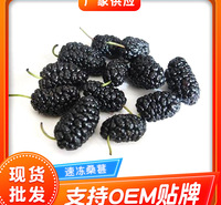 厂家供应冷冻桑葚 速冻桑葚冷冻果蔬食品奶茶店饮料桑葚速冻水果