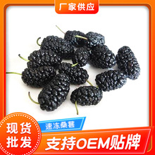 厂家供应冷冻桑葚 速冻桑葚冷冻果蔬食品奶茶店饮料桑葚速冻水果
