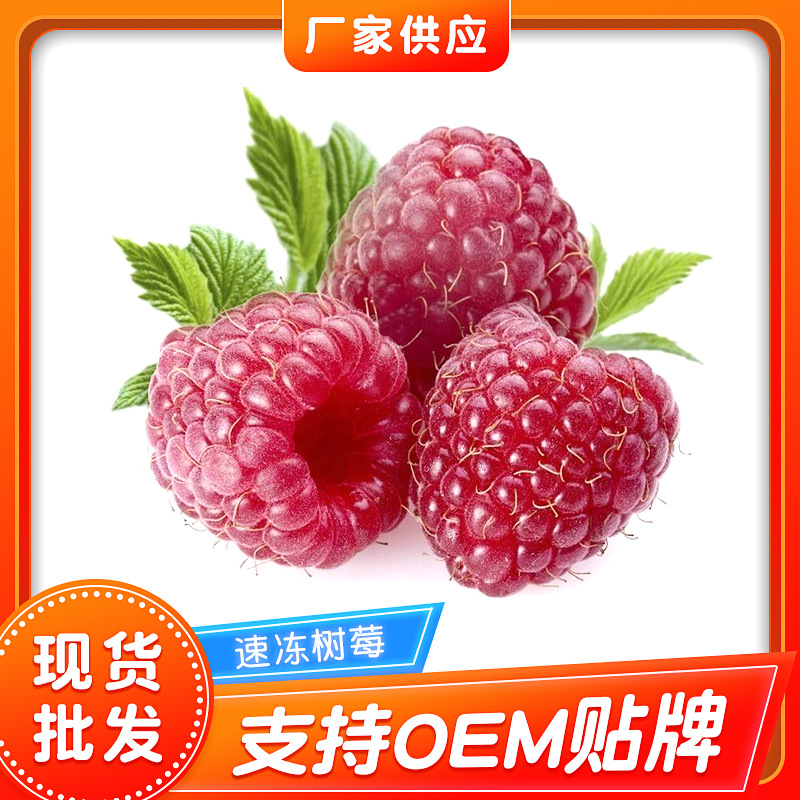 冷冻树莓 冰冻水果树莓烘焙装饰水果 速冻树莓饮品水果原料树莓