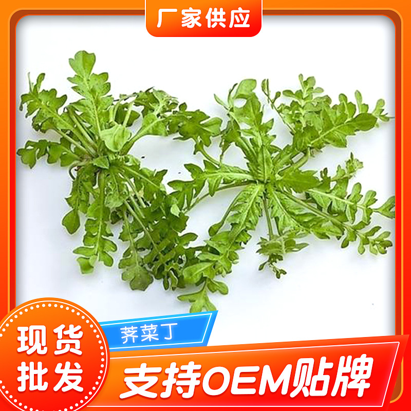 速冻荠菜 速冻荠菜野菜 荠菜馅饺子馅荠菜食材 野菜荠菜馅批发 厂家供应
