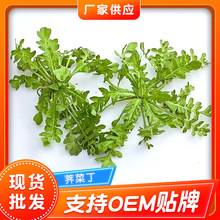 速冻荠菜 速冻荠菜野菜 荠菜馅饺子馅荠菜食材 野菜荠菜馅批发 厂家供应