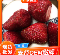 进口草莓 冷冻埃及草莓 速冻产品 速冻草莓 商用甜品冷饮奶茶店榨汁水果