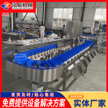 琵琶腿重量分选机 鸡爪鸡翅重量分选机 猪耳朵重量分选机 泓辰现货