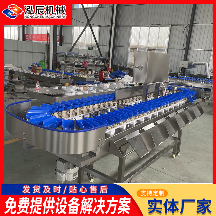 家禽屠宰重量分选机 白条鸡重量分拣机 海蛎子重量分选机 分级机厂家