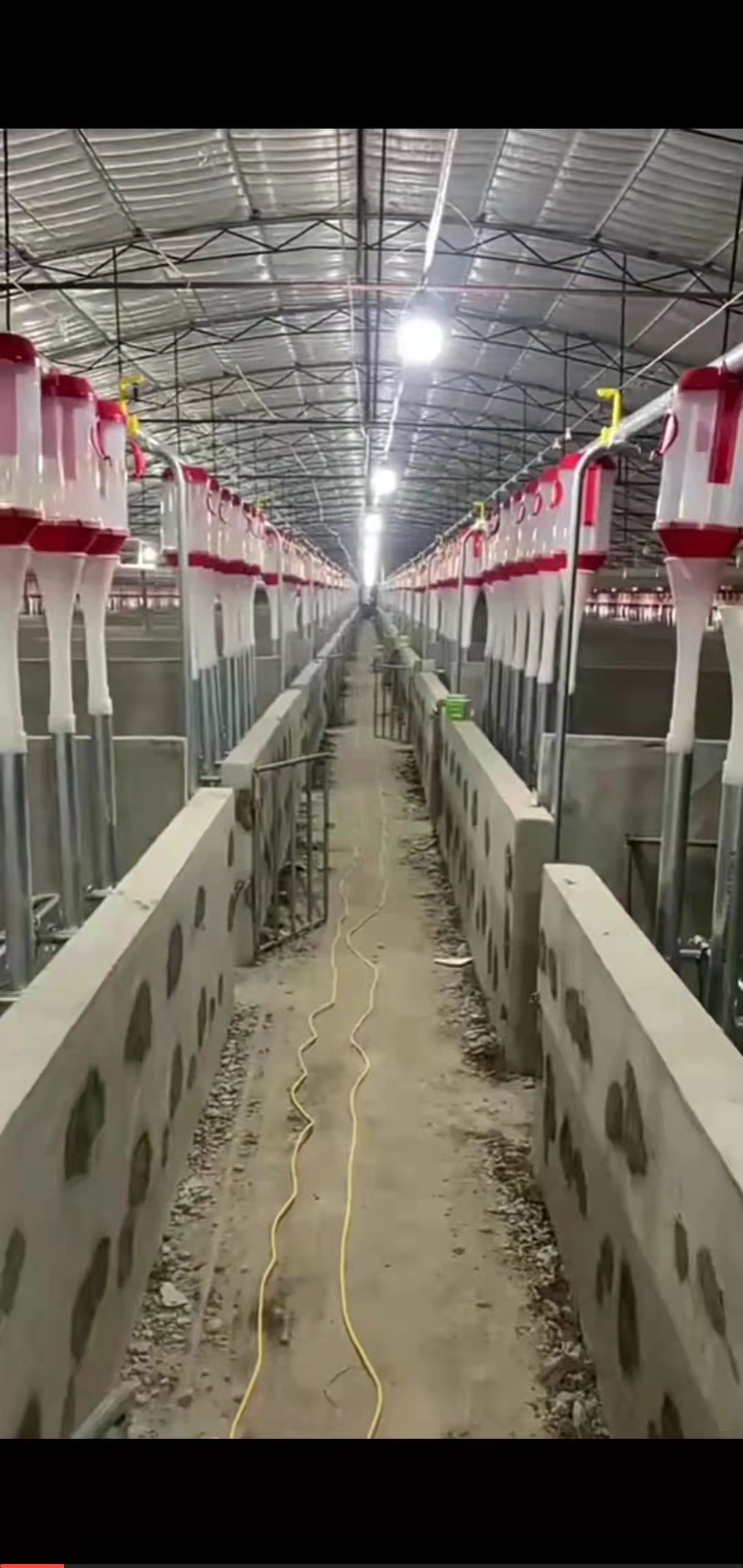 自动料线料塔   免费安装