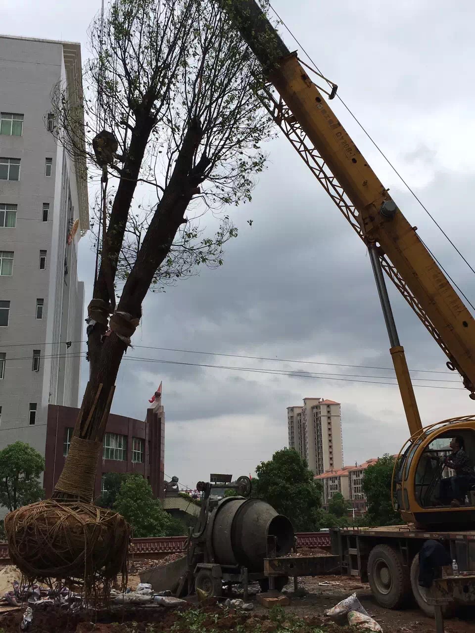 溆浦县8-130吨吊车出租 设备吊装搬迁 日租月租均可