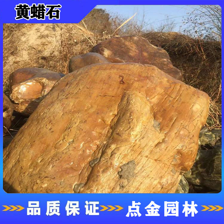 浙江景观黄蜡石 刻字景观石 黄蜡石景观石 点金园林厂家