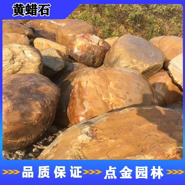云浮天然黄蜡石采购 点金厂家直供园林景观黄蜡石 黄蜡石批发
