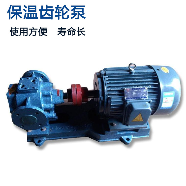 LQB全保温型沥青保温泵 保温容积泵  齿轮沥青泵 工业铸铁沥青泵来电咨询