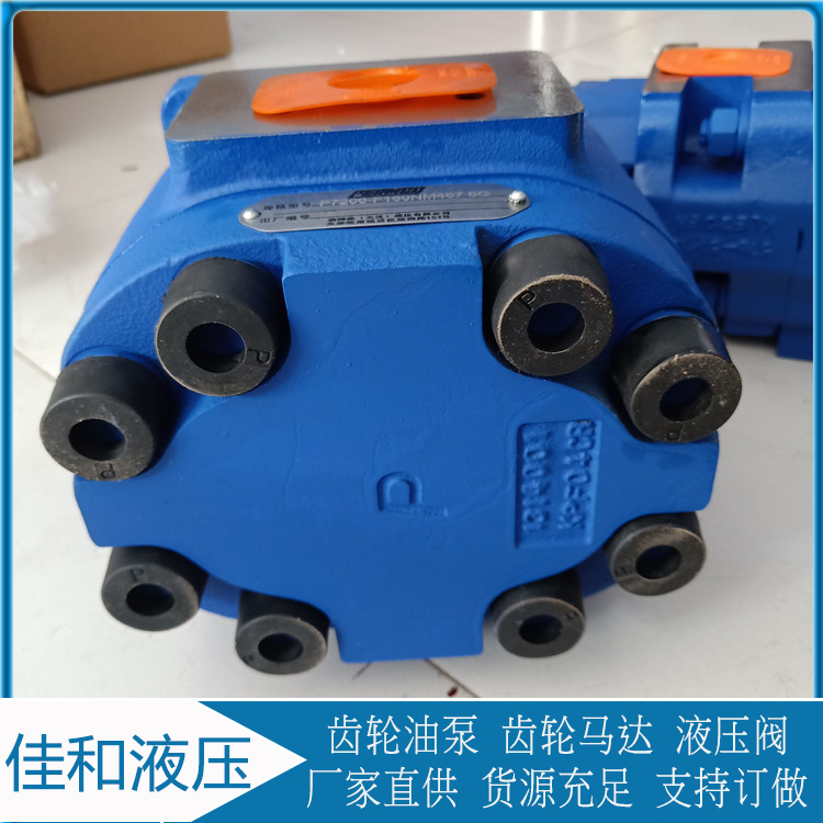 福田958G装载机工作泵  P7600-F100NL467 6G泊姆克齿轮泵