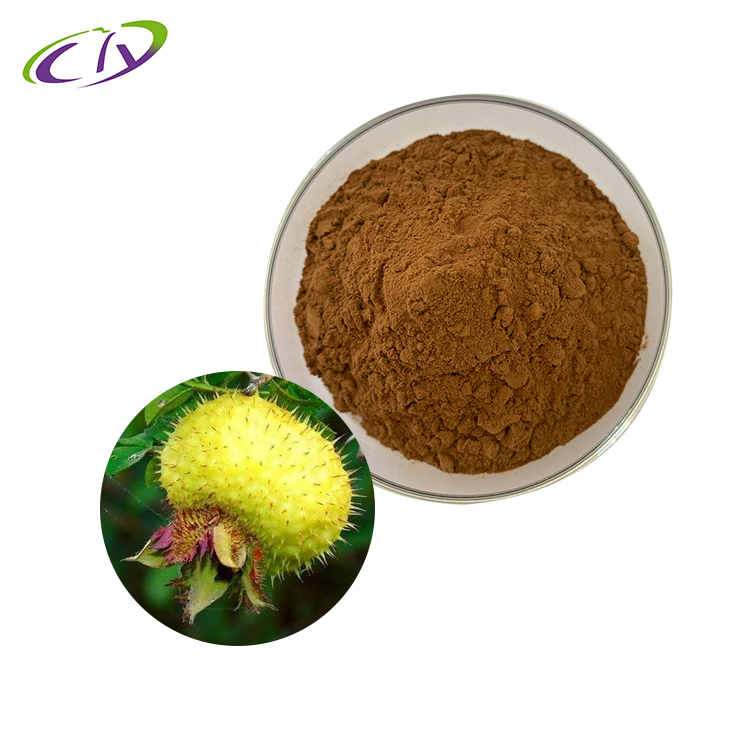 慈缘生物 SC厂家 刺梨提取物10:1  刺梨粉 刺梨多糖 片剂胶囊原料