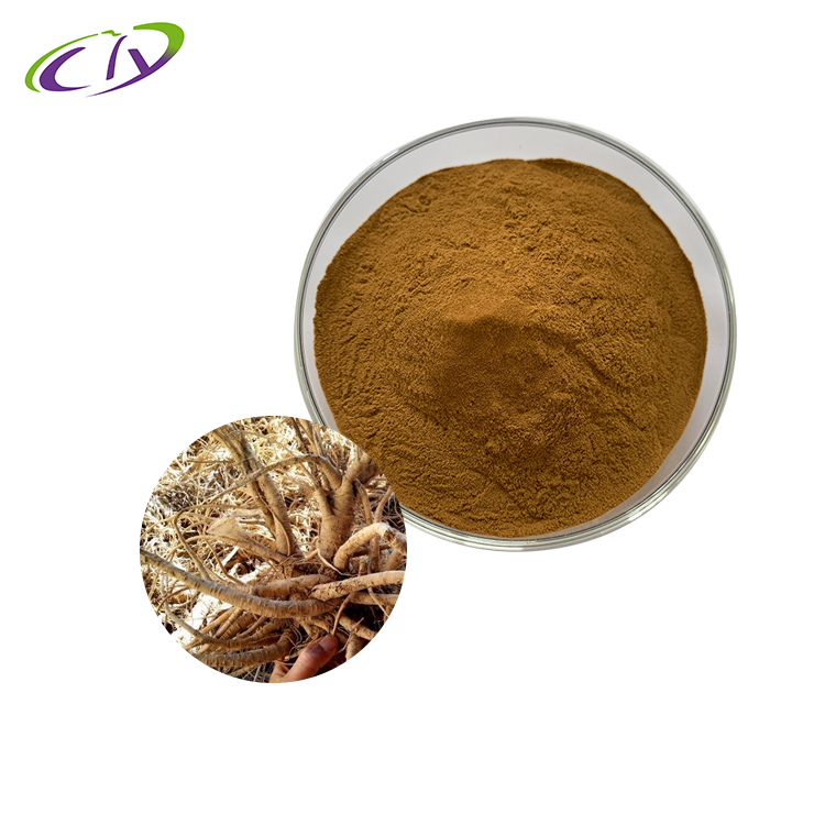 慈缘生物 SC厂家 独活提取物10:1  独活粉 独摇草提取物 片剂胶囊原料