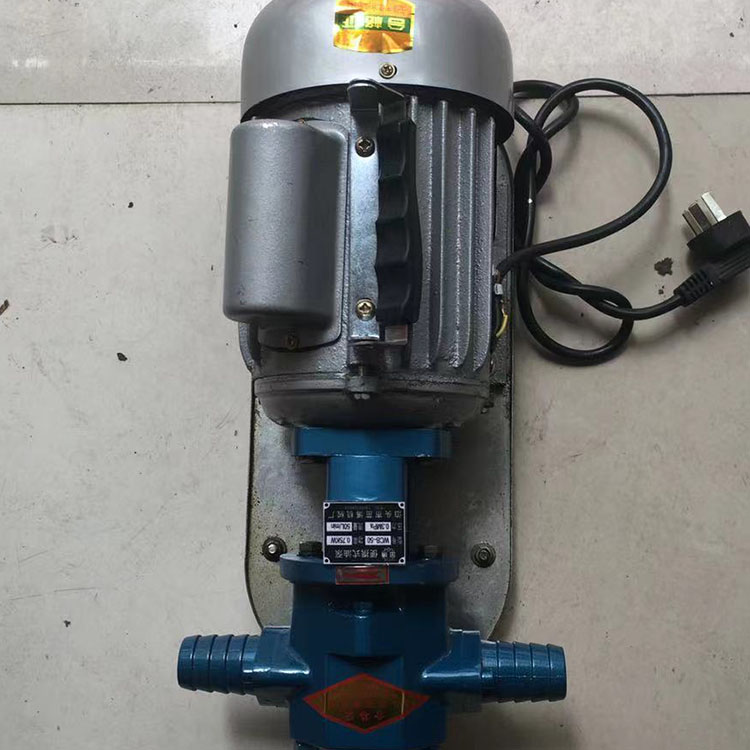 小型油泵 WCB手提式齿轮泵 wcb微型齿轮油泵 茁博定制 欢迎咨询