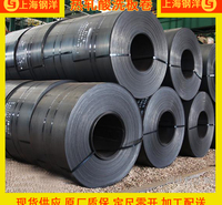 【现货供应】华菱<em>安</em>赛乐Usibor2000镀锌板、镀锌卷-可按需供货