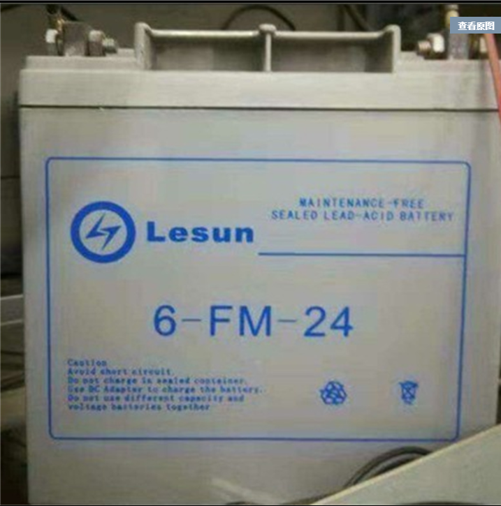 Lesun蓄电池6-FM-24 防油防爆阻燃抗震型 UPS计算机应急电源