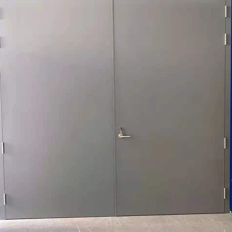 钢制防火门 隔热钢制防火门 双开单开防火门 酒店用防火门 现货供应