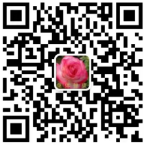 承德新羲玻璃技术有限公司 微信二维码